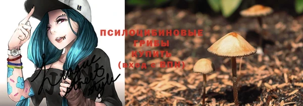 COCAINE Каменск-Шахтинский