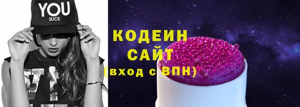 гидра Инта