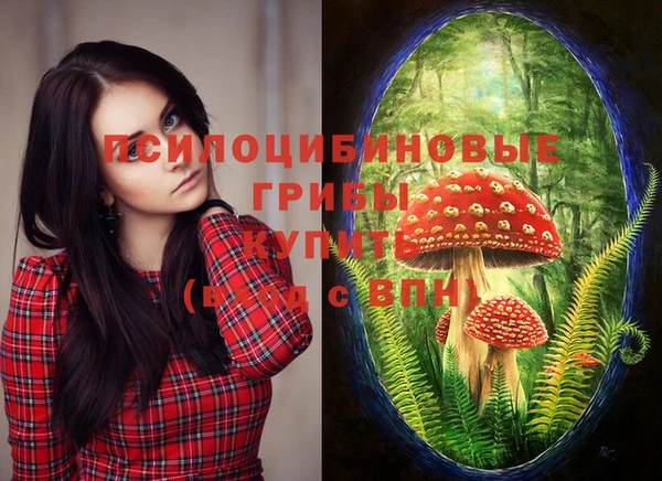 таблы Каменка