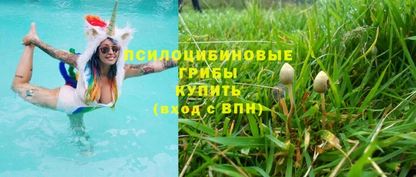 ECSTASY Каменногорск