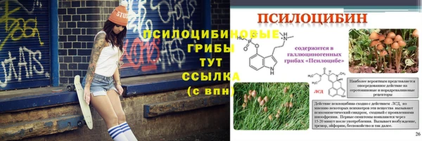 таблы Каменка