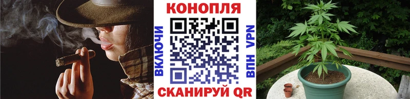 Марихуана сатива  Купить  Няндома 